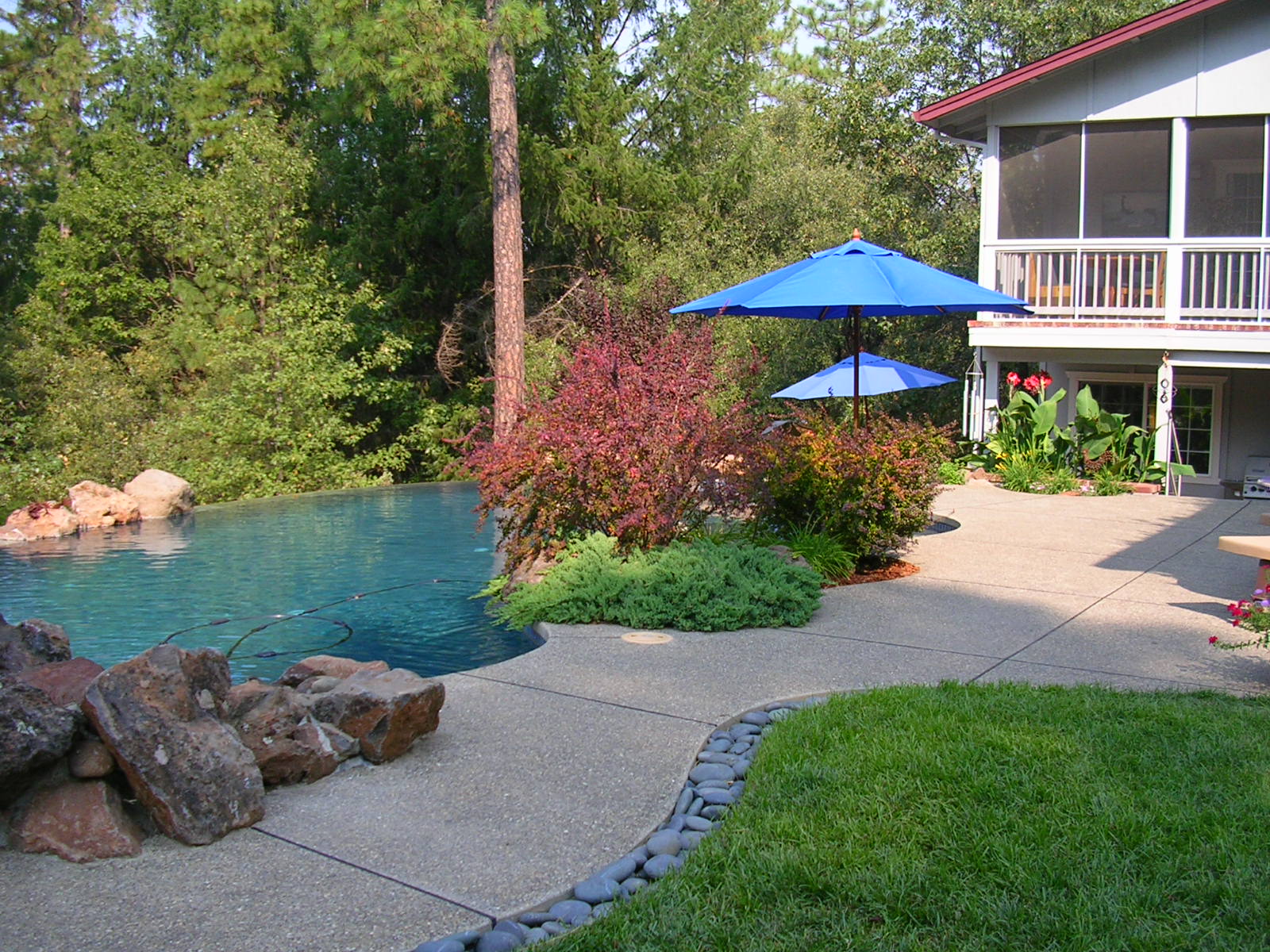 Backyard looking towards the rear of house.